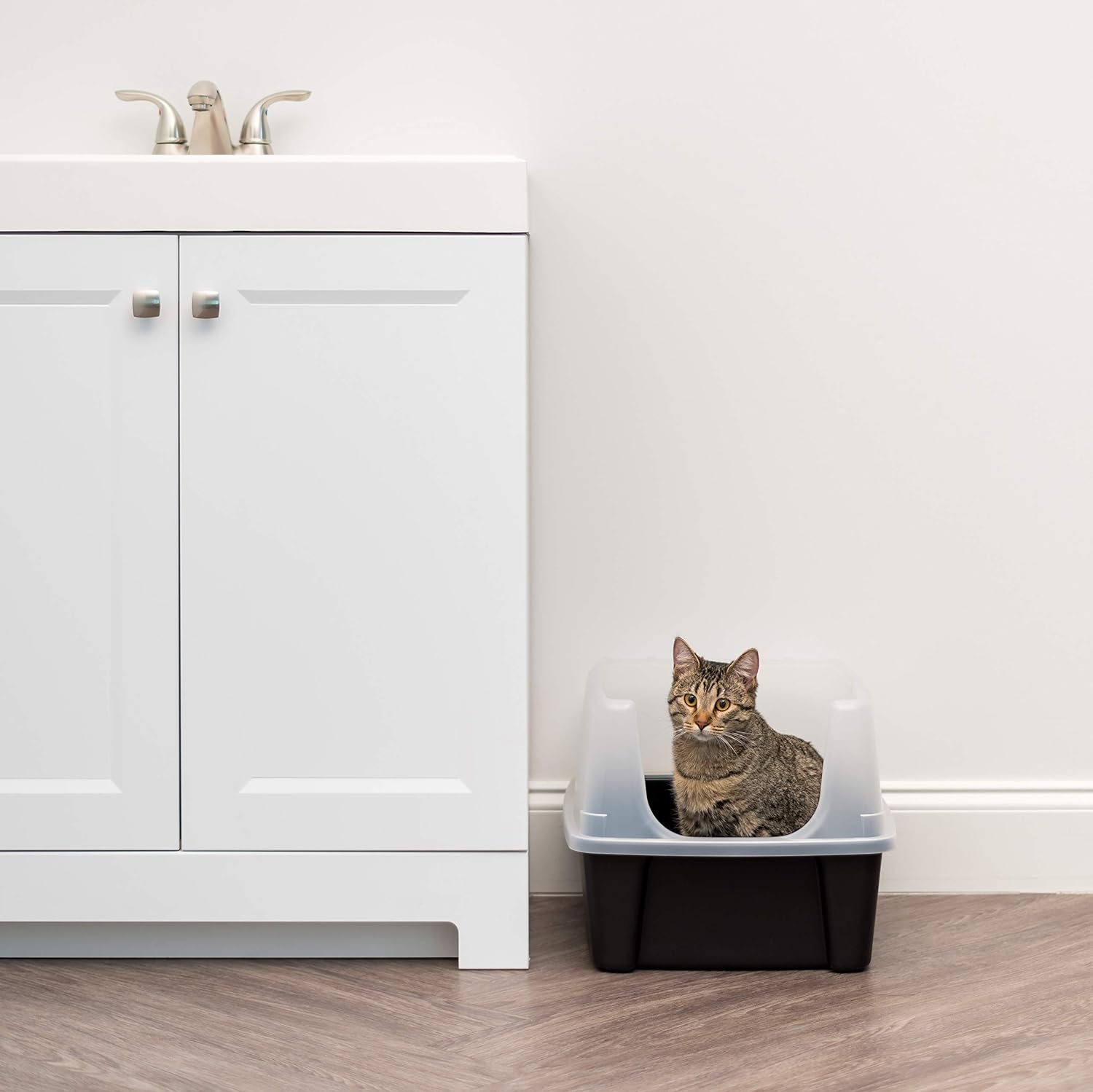 IRIS USA Large Open Top Cat Litter Box with High Sides, Scatter Shield & Scoop, Black - Easy Clean Plastic Litter Pan for Indoor Cats, Kittens or Multicat Homes